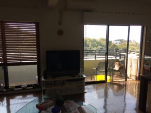 景観重視のリビングの家。家具やフローリングを強すぎる日差しから守れ!