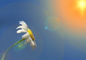 色あせや劣化しにくいケイミューの外壁。白いお家を目指すなら光セラがおすすめ