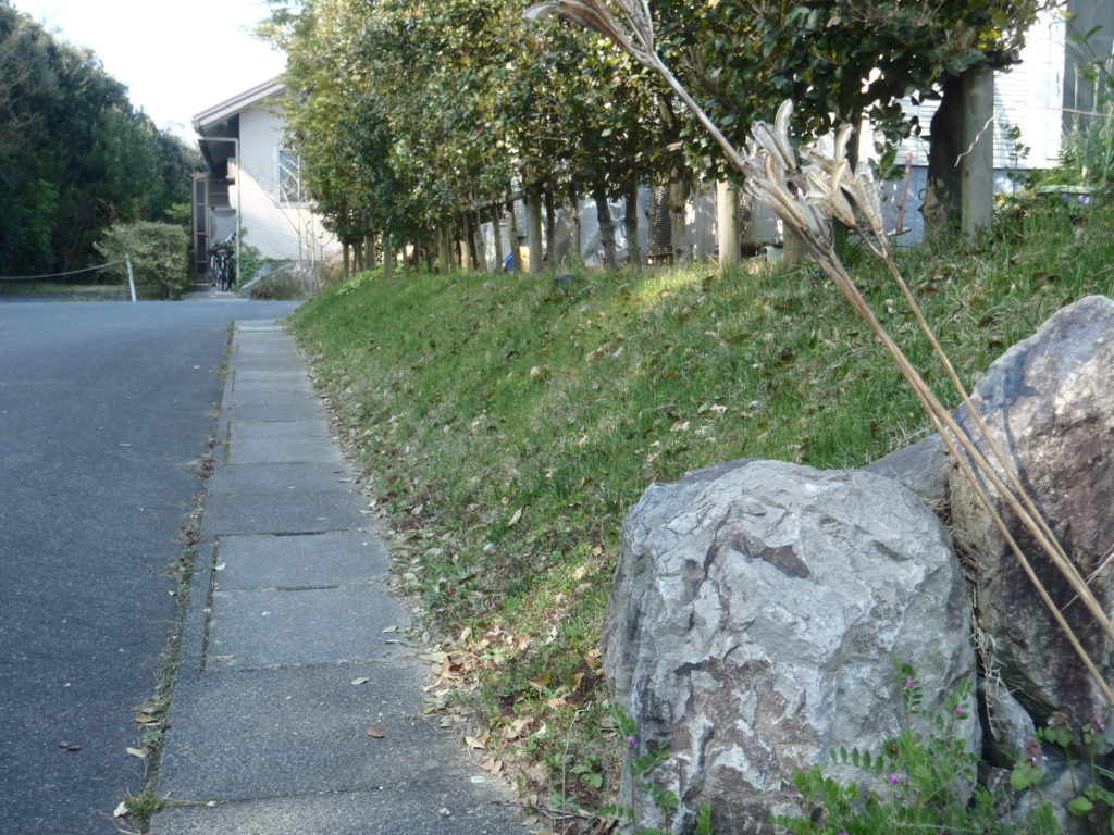 小鳥がさえずる外構づくり。外構プランはCGで再現。費用やプランを見直すきかっけに