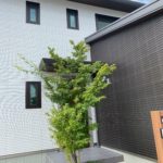 積水ハウスのベルバーンは組み合わせが楽しく高級感漂う。美しさは半永久的か！！