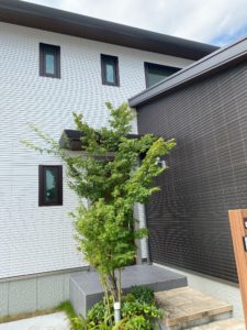 積水ハウスのベルバーンは組み合わせが楽しく高級感漂う。美しさは半永久的か!!