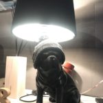 Francfrancの犬型のテーブルランプはフレンチブルドックをつい可愛がりたくなる